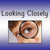 Sight Magnification PPT2