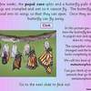 Butterfly ppt7